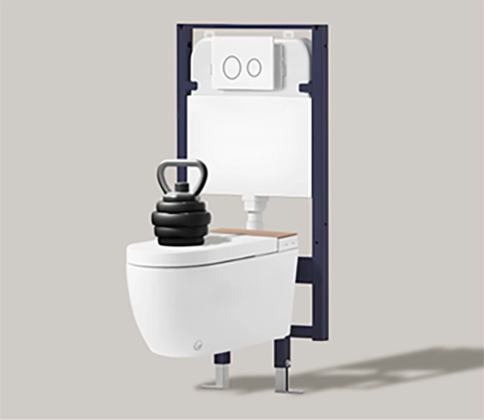 Tankless Smart Toilet Design