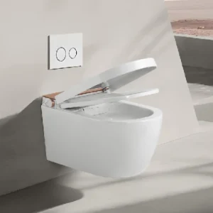 Advanced Smart System Integration-smart toilet manufacturer