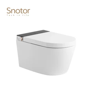 Modern Tankless Smart Toilet Wholesale, Energy-Efficient Smart Toilet Manufacturer