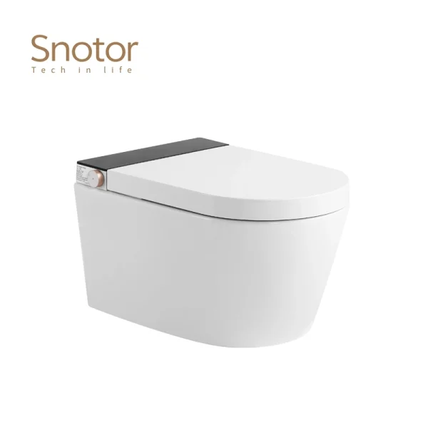 Modern Tankless Smart Toilet Wholesale, Energy-Efficient Smart Toilet Manufacturer