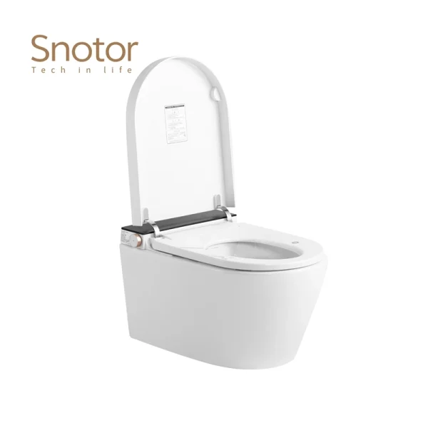 Modern Tankless Smart Toilet Wholesale, Energy-Efficient Smart Toilet Manufacturer