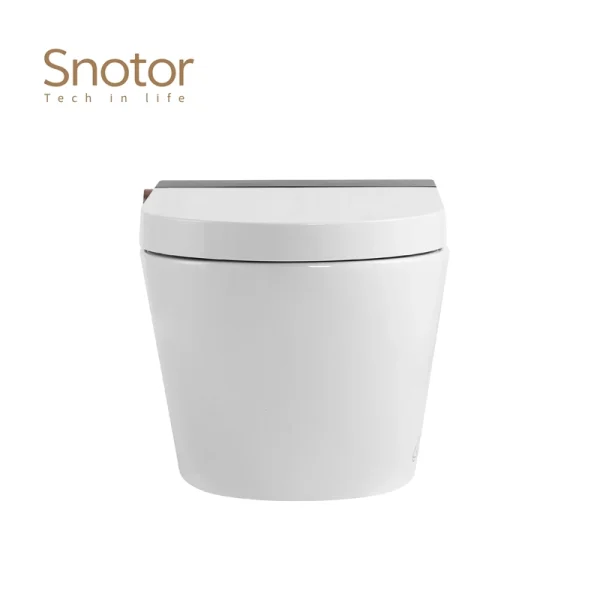 Modern Tankless Smart Toilet Wholesale, Energy-Efficient Smart Toilet Manufacturer