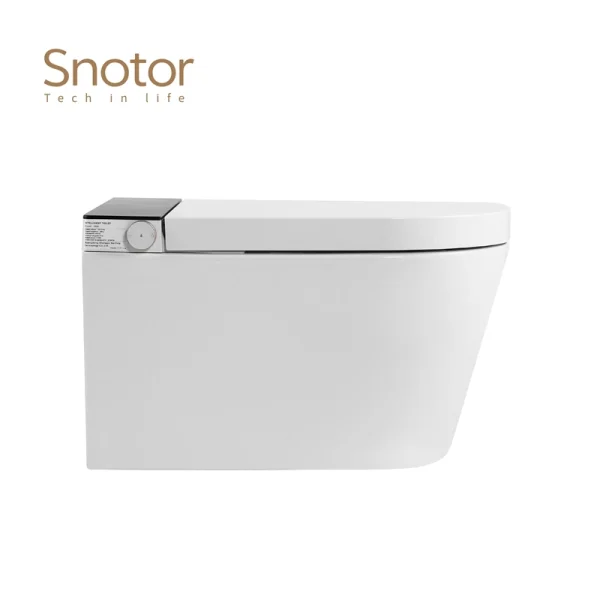 Modern Tankless Smart Toilet Wholesale, Energy-Efficient Smart Toilet Manufacturer