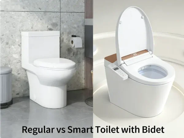 Regular vs Smart Toilet with Bidet