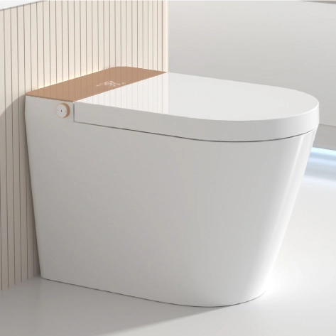 Wholesale Back to Wall Smart Toilet