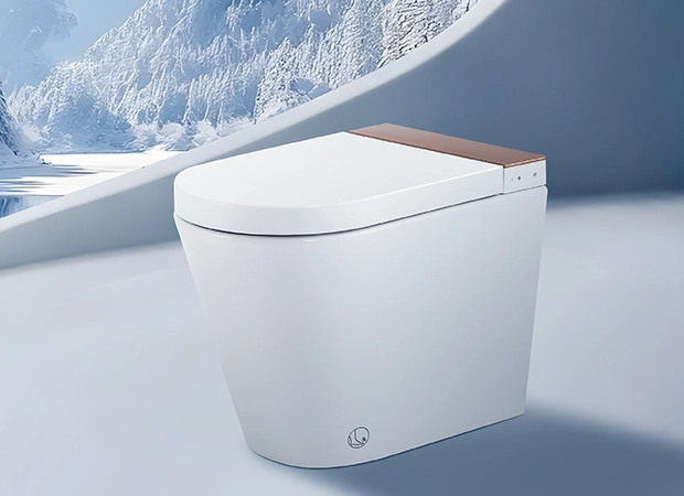 Wholesale Tankless Smart Toilet Manufacturer