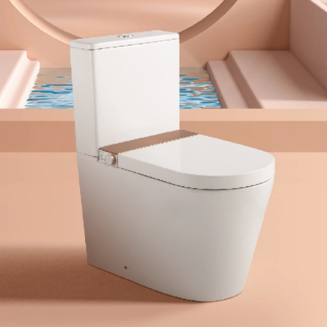 Wholesale Two Piece Smart Toilet