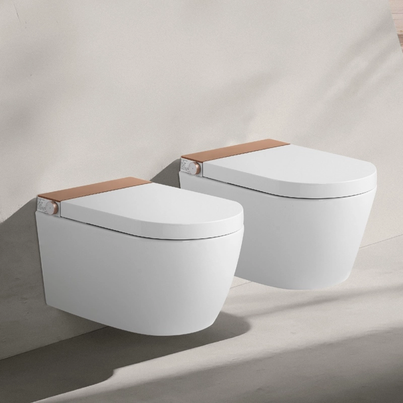 Wholesale Wall Hung Smart Toilet Manufacturer
