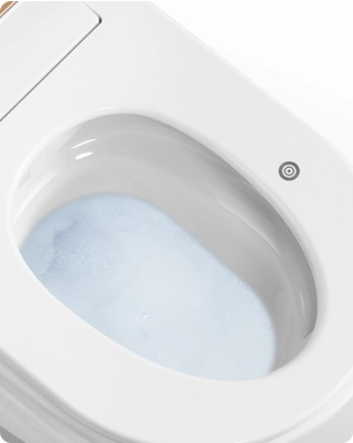 Wholesale smart toilets with Foam Splash Protector