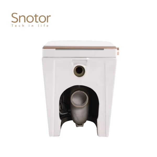 integrated smart toilet wholesale (3)
