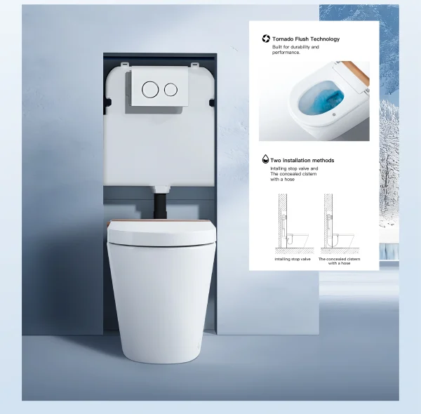 integrated smart toilet wholesale (4)