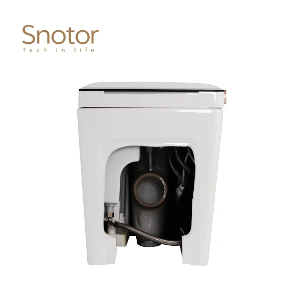 one piece smart toilet wholesale (2)