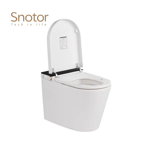 one piece smart toilet wholesale (3)
