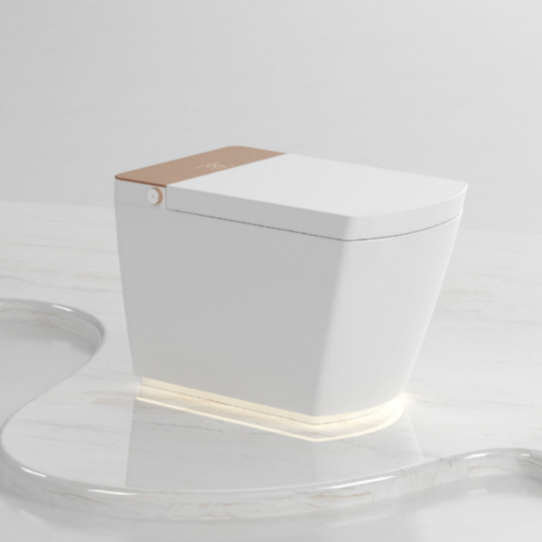 one piece smart toilet wholesale (9)