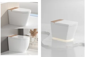 smart toilet manufacturer-Exquisite Toilet Design Wholesale Series