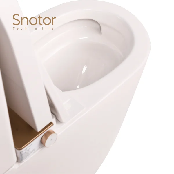 smart toilet with tank wholesale (3)