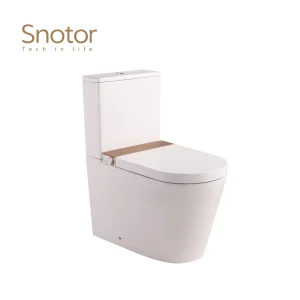 smart toilet with tank wholesale