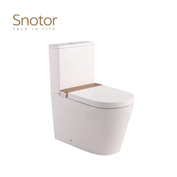 smart toilet with tank wholesale