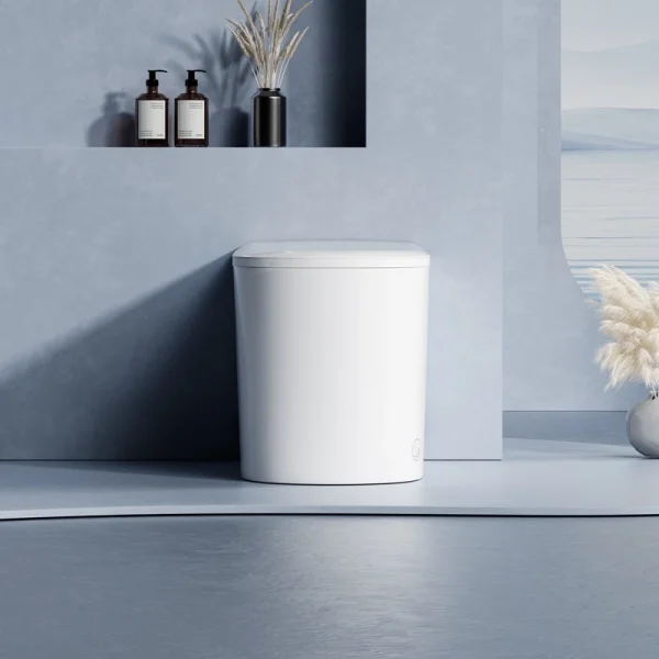 Smart Tankless Toilet Wholesale, Intelligent Toilet Custom