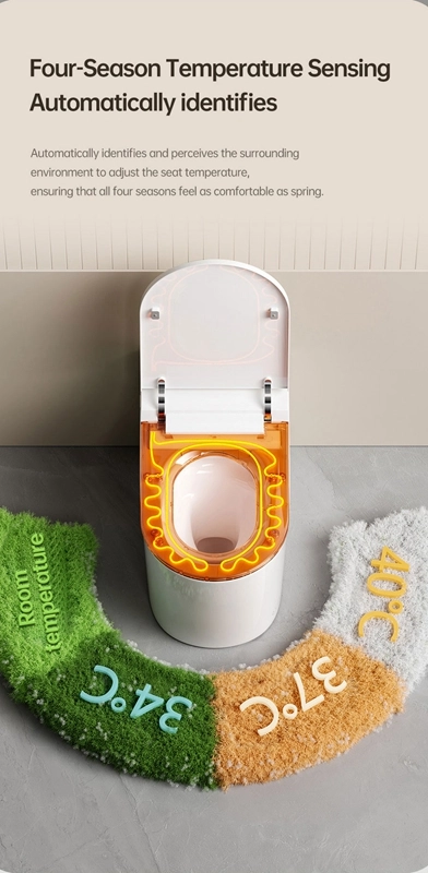 Wholesale Back to Wall Smart Toilet