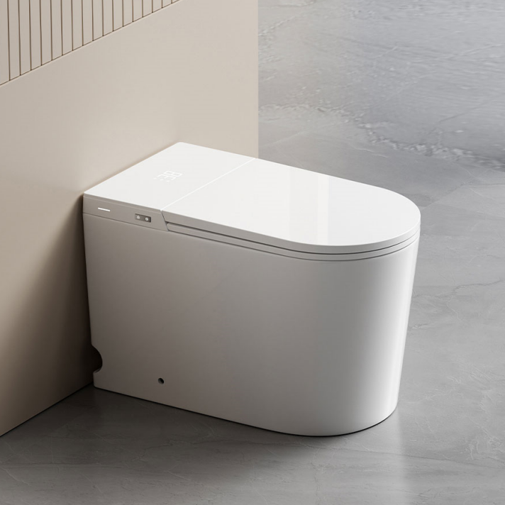 back to wall smart toilet wholesale