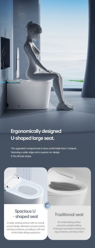 smart tankless toilet wholesale (5)