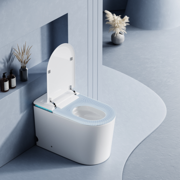 smart tankless toilet wholesale(1)