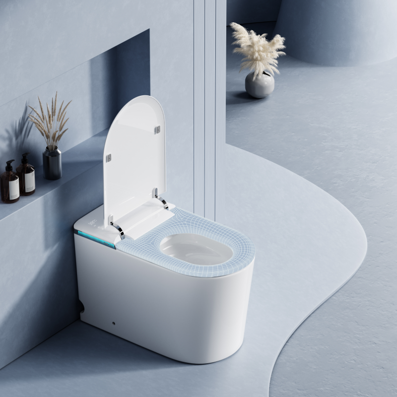 smart tankless toilet wholesale(1)