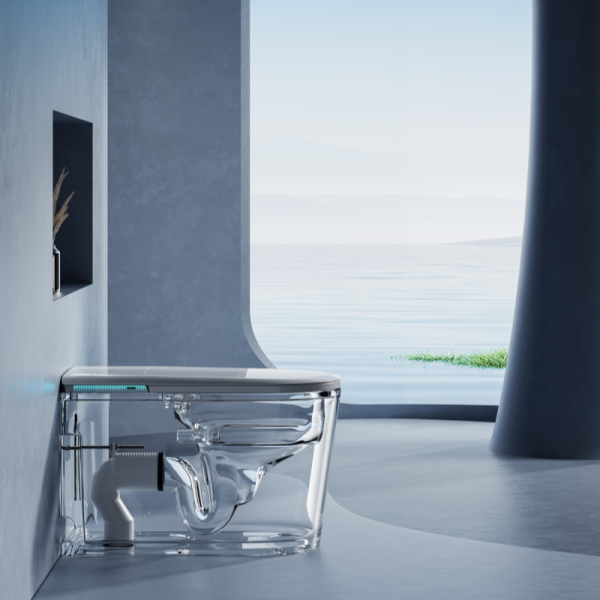 smart tankless toilet wholesale(2)