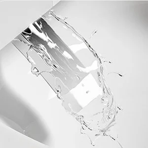smart toilet Self Cleaning Bidet Spray