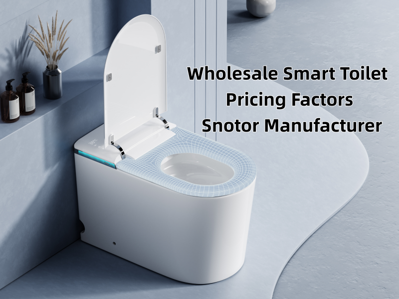 Quels sont les facteurs qui influencent les prix de gros des toilettes intelligentes ?